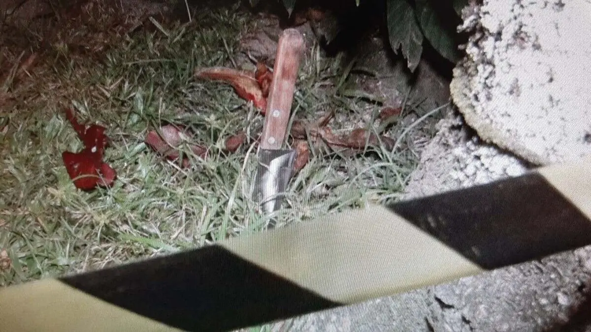 Faca usada em uma das mortes foi apreendida pela polícia