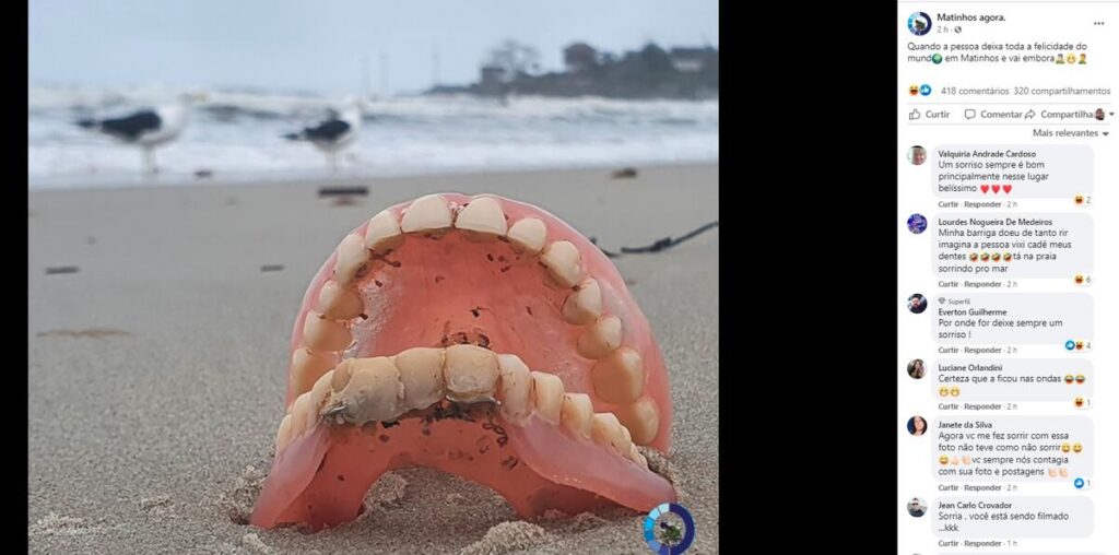 perereca praia dentadura
