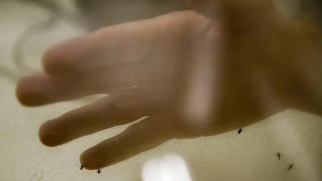 dengue