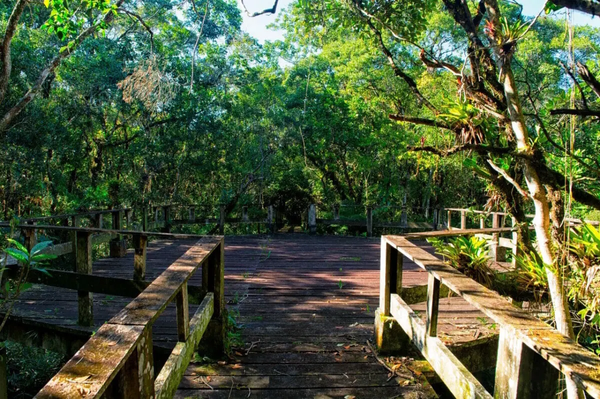 parque rio da onça