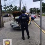 Combate incêndio veículo GCM
