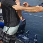 GCM cumpre mandado de prisão na Ilha do Mel