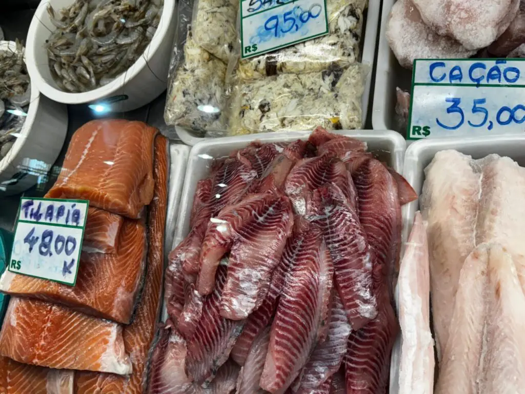 Mercado do Peixe Box 31 (5)
