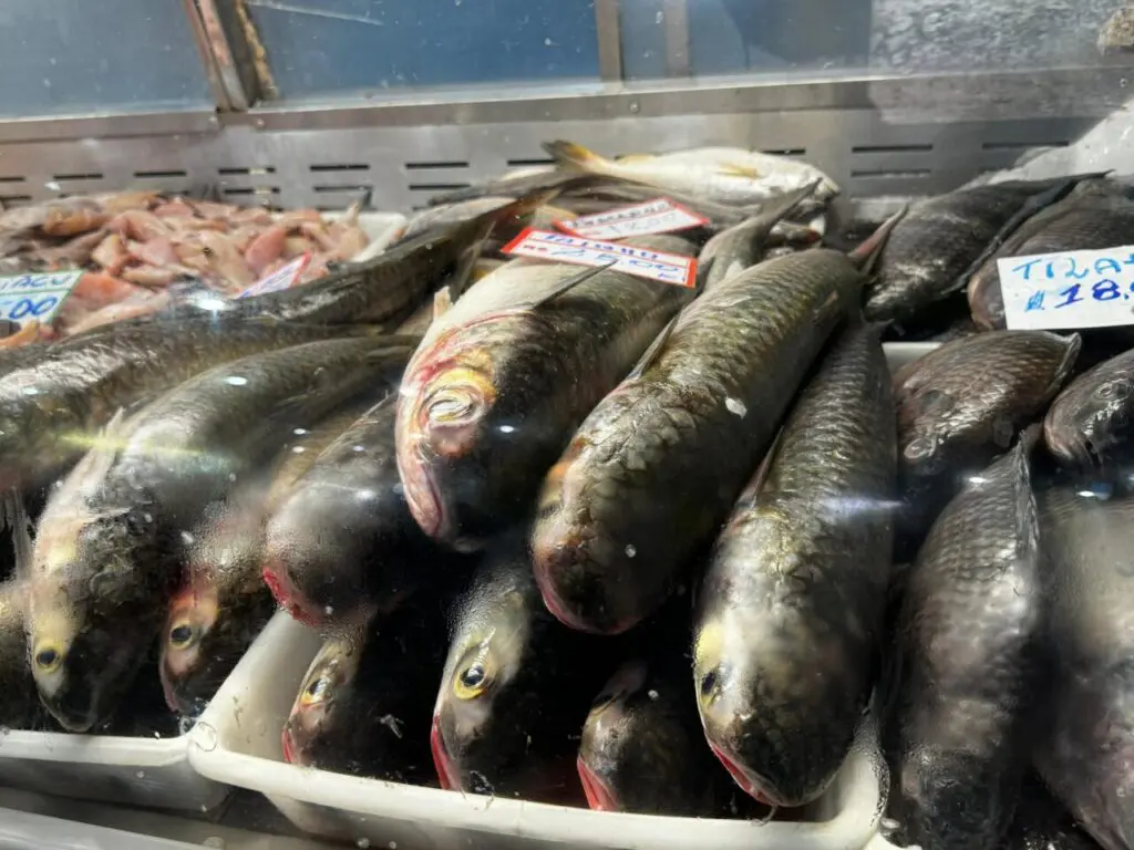 Mercado do Peixe Box 31 (6)