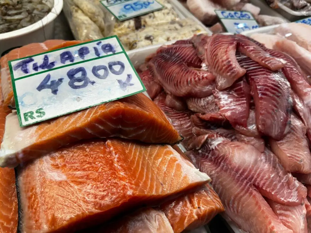 Mercado do Peixe Box 31 (8)