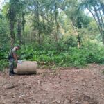 Polícia Ambiental Força Verde 1