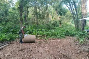 Polícia Ambiental Força Verde 1