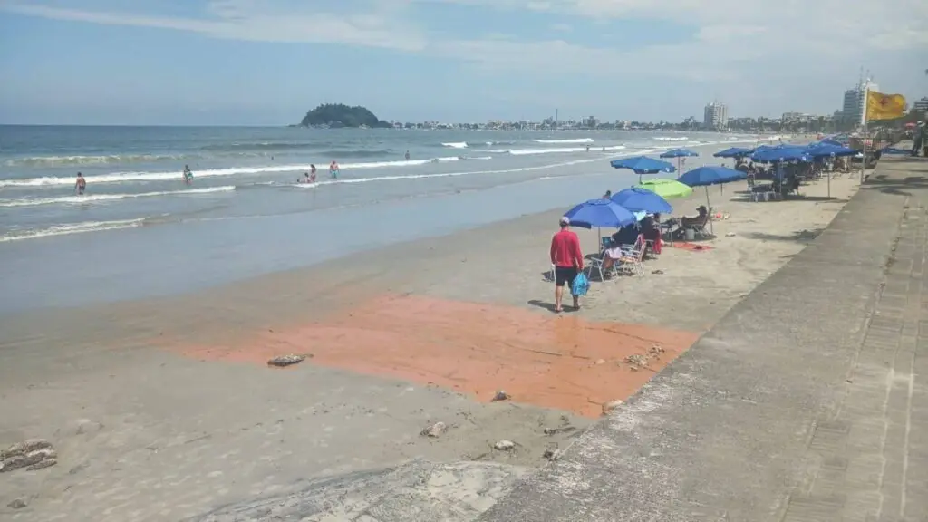 Polícia Ambiental Força Verde 2