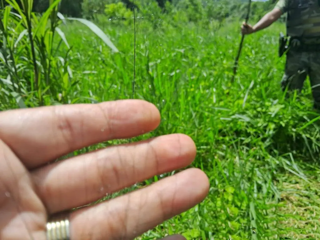 Polícia Ambiental Força Verde 7