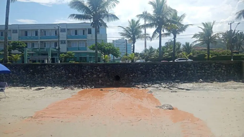 Polícia Ambiental Força Verde 8