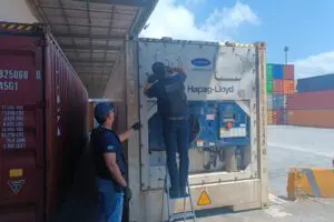 Receita Federal Maconha Container 21