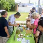 feira abelhas pontal