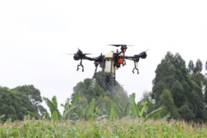 Drone na Bananicultura