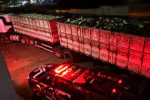 Maconha apreendida em carga de soja