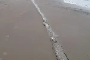 Apreensão de rede de pesca Polícia Ambiental 3