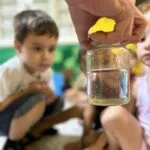 dengue crianças