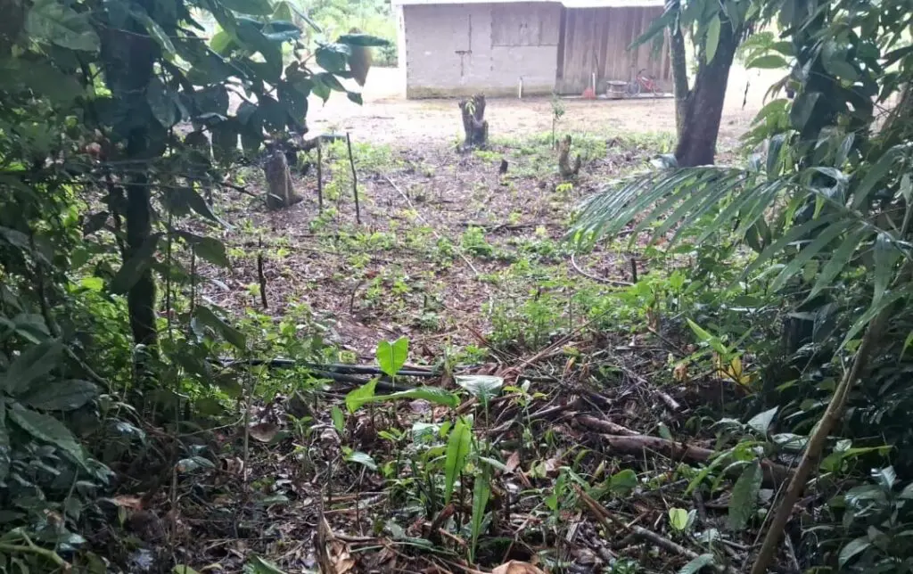Força Verde Ação em Guaratuba 1