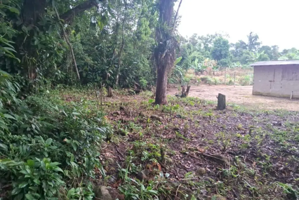 Força Verde Ação em Guaratuba 2