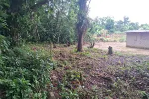 Força Verde Ação em Guaratuba 2
