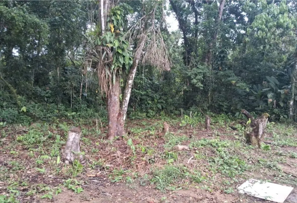 Força Verde Ação em Guaratuba 3