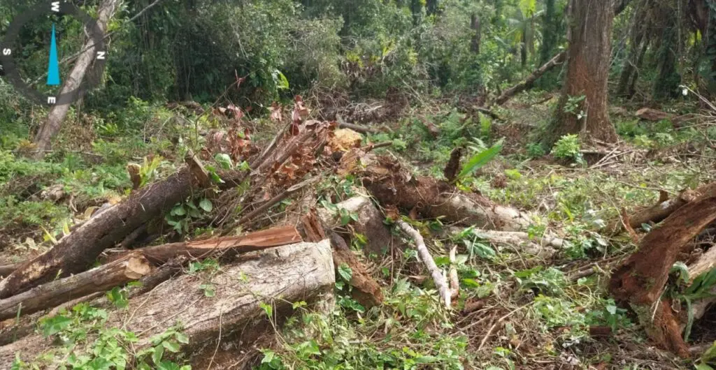 Força Verde Polícia Ambiental Matinhos 1