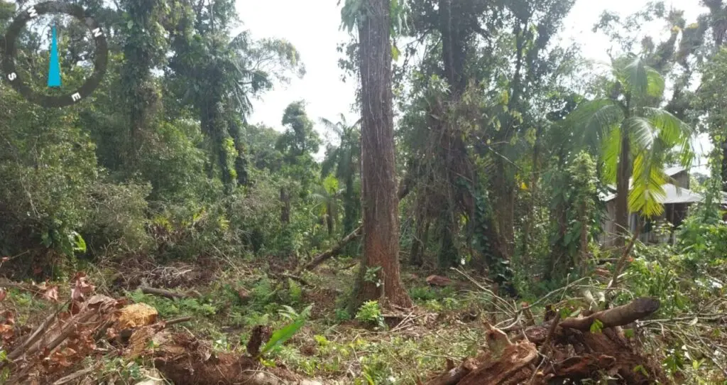 Força Verde Polícia Ambiental Matinhos 2