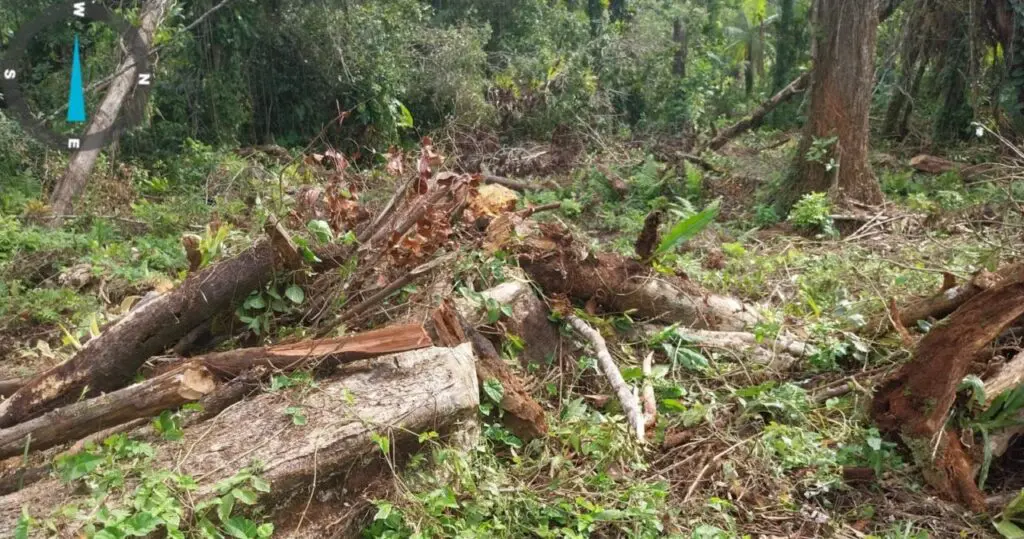Força Verde Polícia Ambiental Matinhos 3