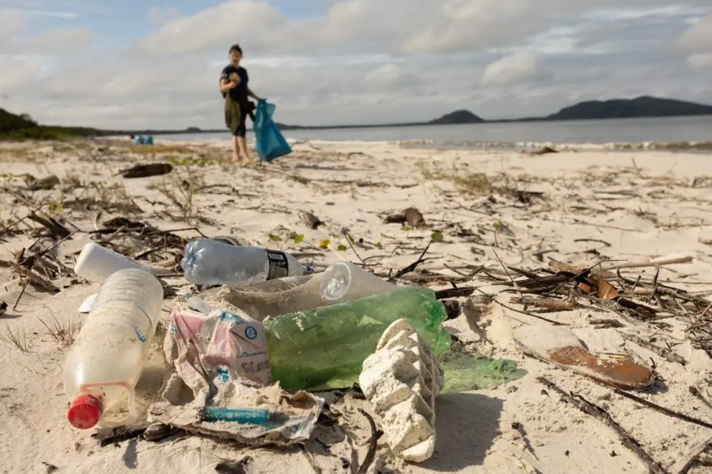 Mutirão moradores Ilha do Mel Divulgação (4)