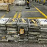 PF-prende-por-trafico-de-drogas-em-Paranagua