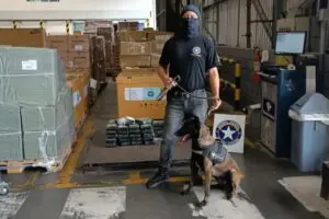 Receita Federal Apreensão de Drogas Paranaguá 4