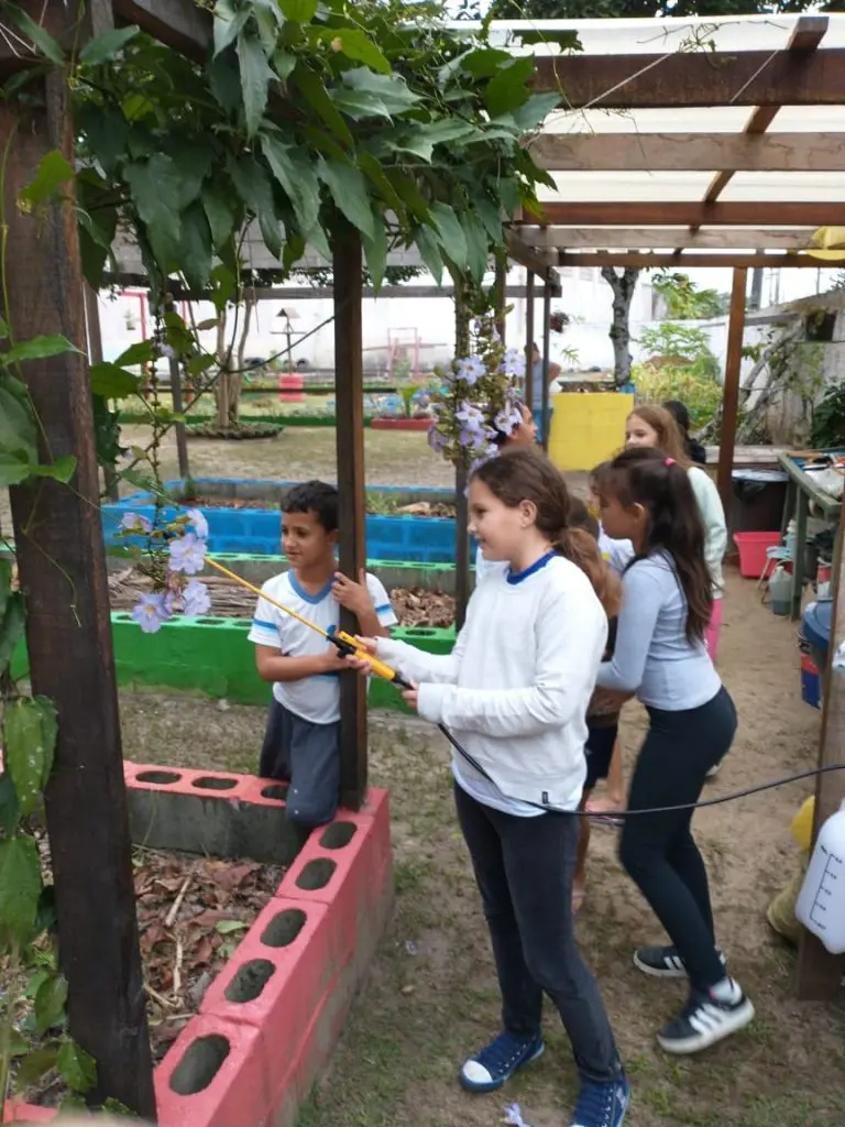 horta nas escolas pontal do paraa (3)