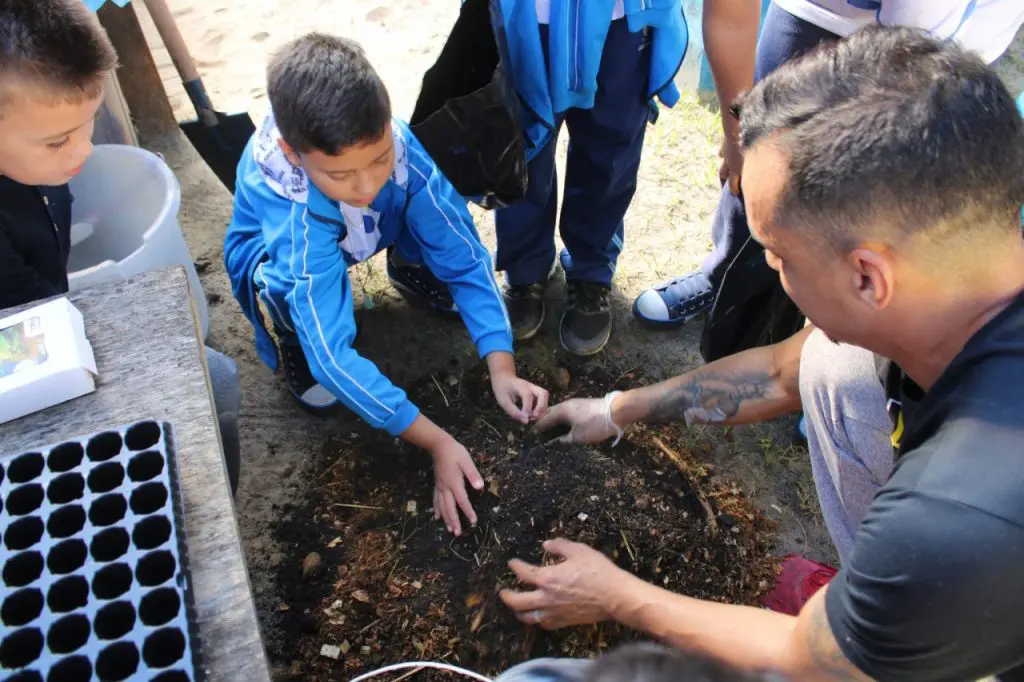 horta nas escolas pontal do paraa (5)
