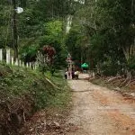 Caminhada na Natureza- Circuito Serra da Prata