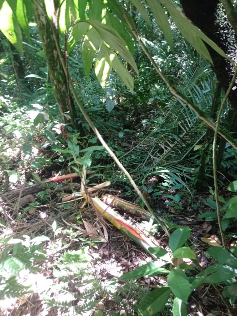 Apreensão simulacro Pontal do Paraná 3