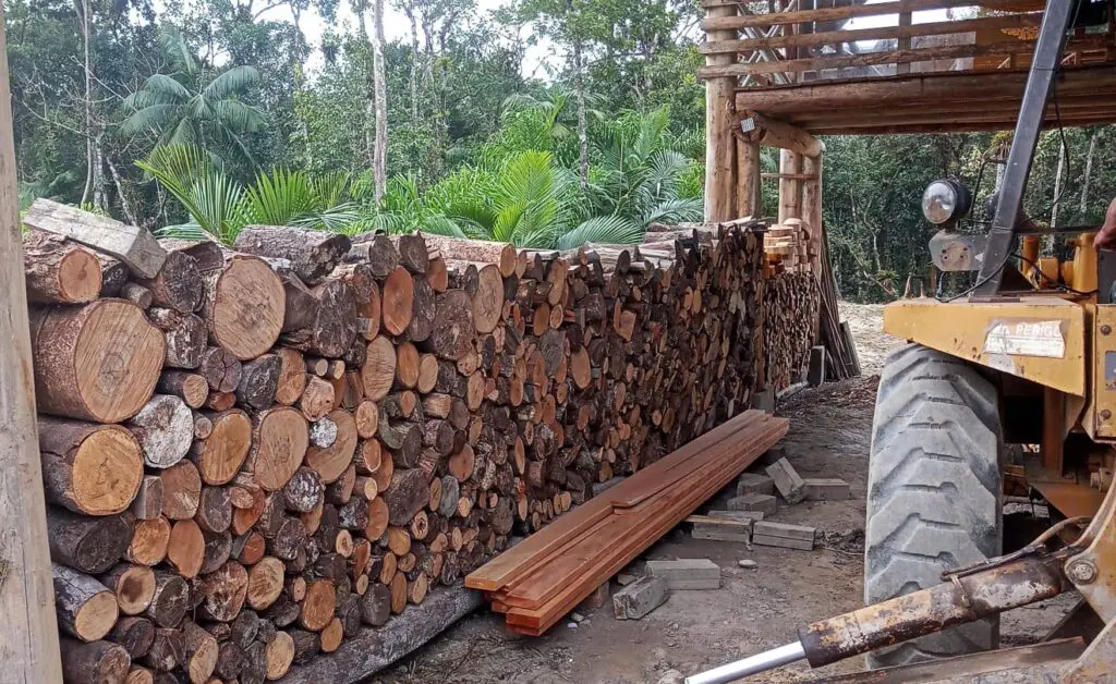 Força Verde apreensão retroescavadeira 1