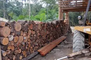 Força Verde apreensão retroescavadeira 1