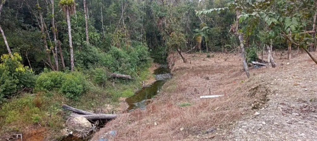 Força Verde apreensão retroescavadeira 7