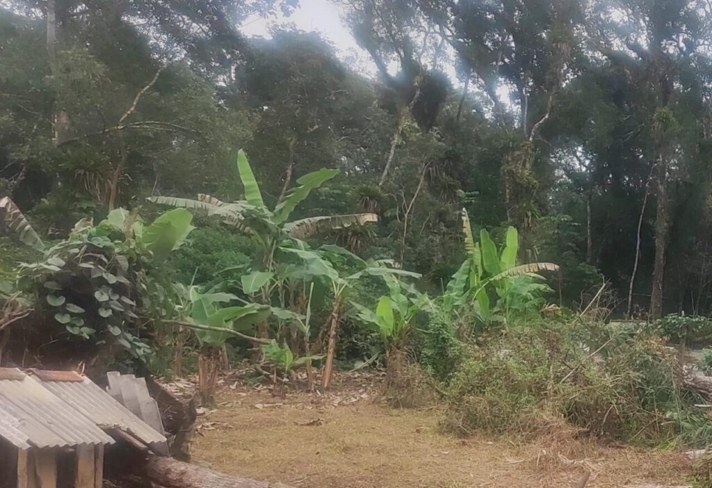 Polícia Ambiental – Força Verde – Guaratuba 1