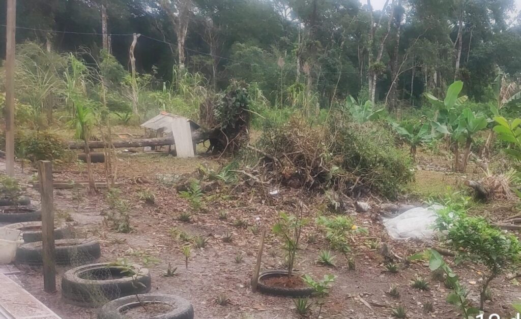 Polícia Ambiental – Força Verde – Guaratuba 5