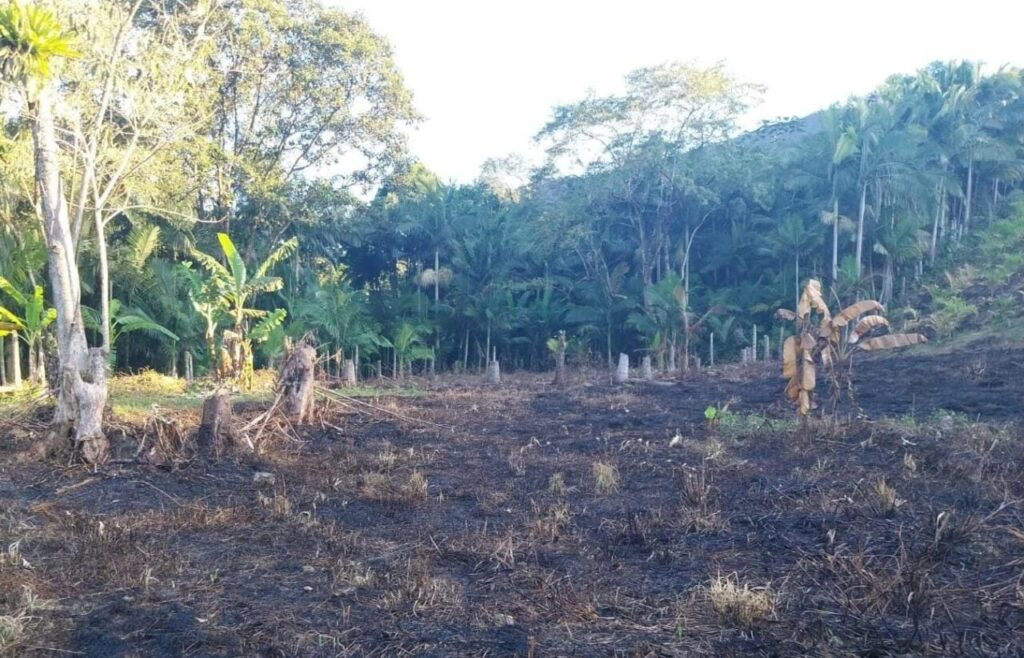 Polícia Ambiental Guaratua 3