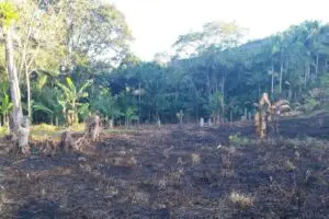 Polícia Ambiental Guaratua 3