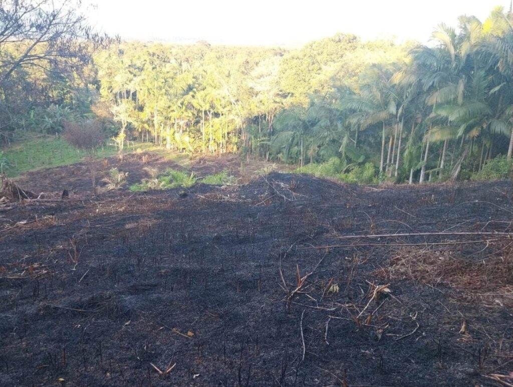 Polícia Ambiental Guaratua 4