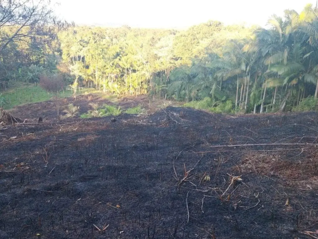 Polícia Ambiental Guaratua 4