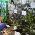 Semana Meio Ambiente – Prefeitura de Paranagua – 17ª edição – 2024 – Fotos Juan Lima – JB LITORAL (110)