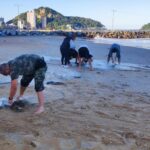 Ação Força Verde Tartarugas Matinhos 1