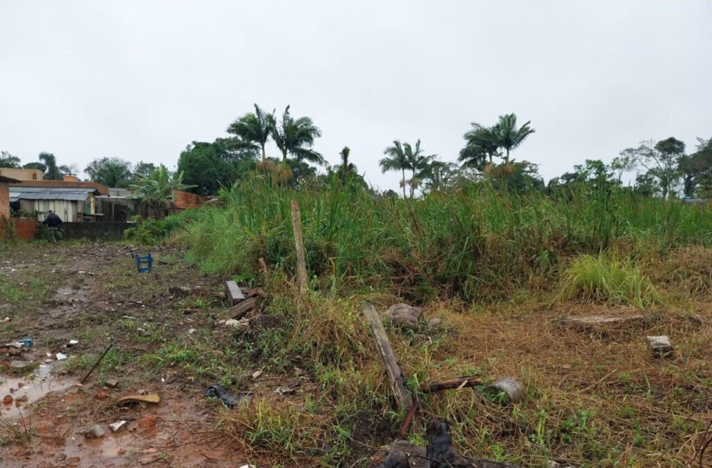 Ação da Polícia Ambiental