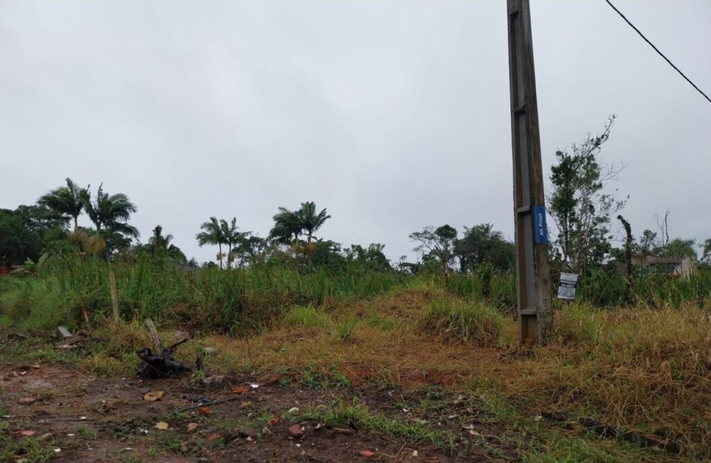 Ação da Polícia Ambiental 2