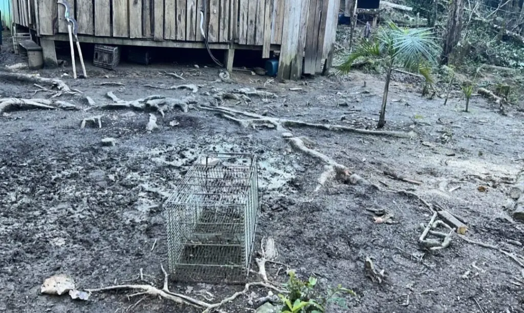 Ação da Polícia Ambiental em Guaratuba