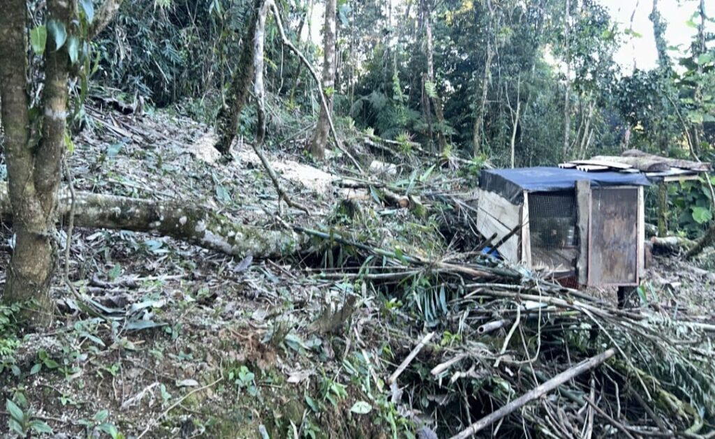 Ação da Polícia Ambiental em Guaratuba 3