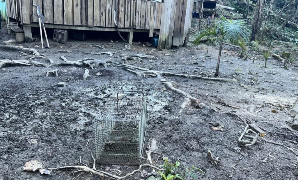 Ação da Polícia Ambiental em Guaratuba 5